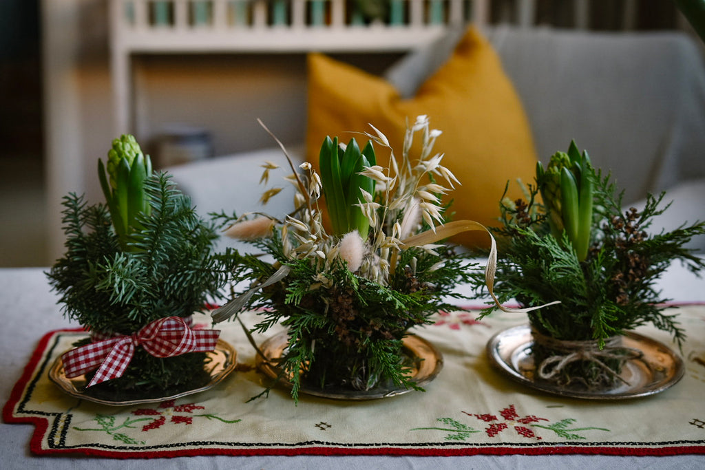 Julkul med hyacinter