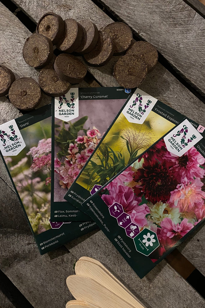Fröpaket sommarblomor