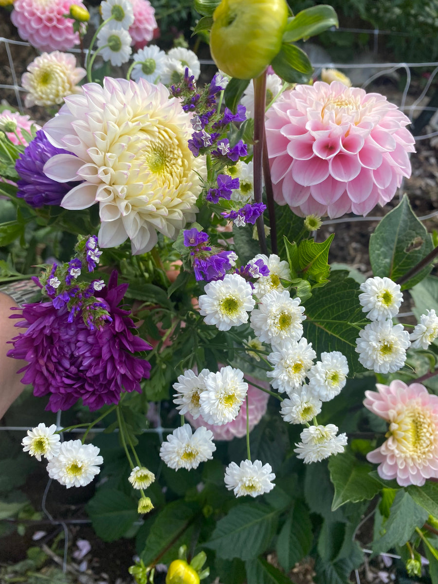 Lilla Wextverk logotyp