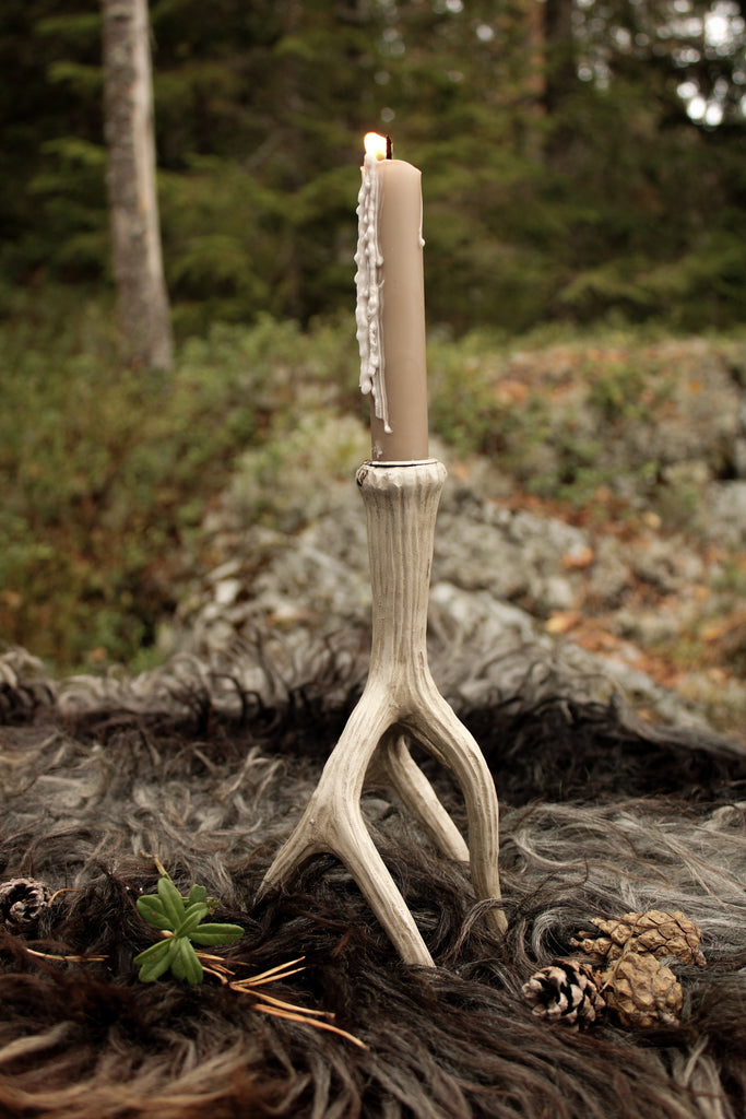 Ljusstake renhorn