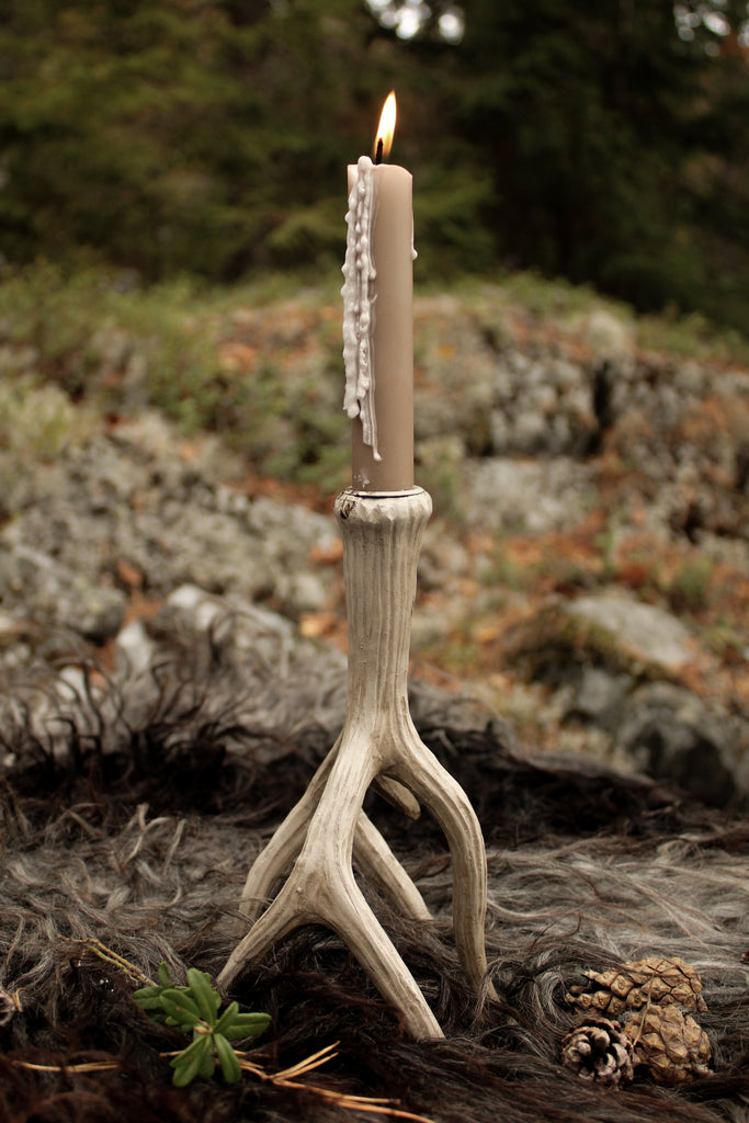 Ljusstake renhorn