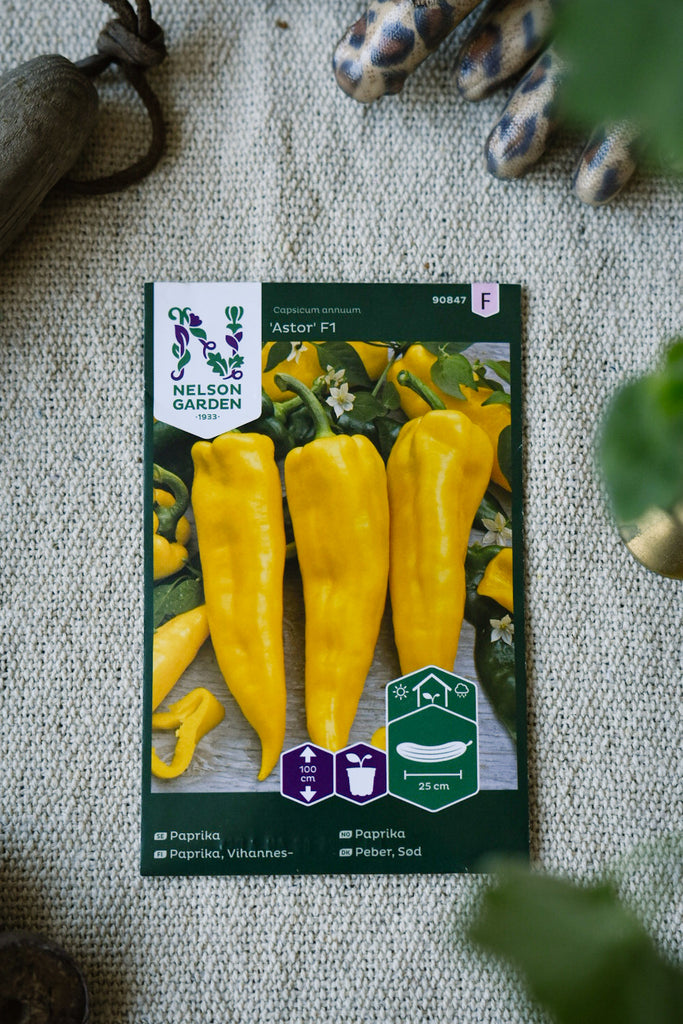 Paprika Astor F1 – Lång, Söt och Färgstark