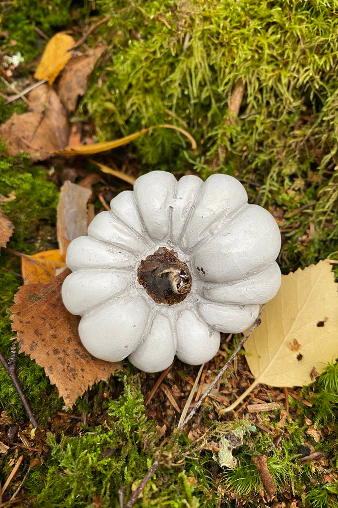 Pumpa på stick oval