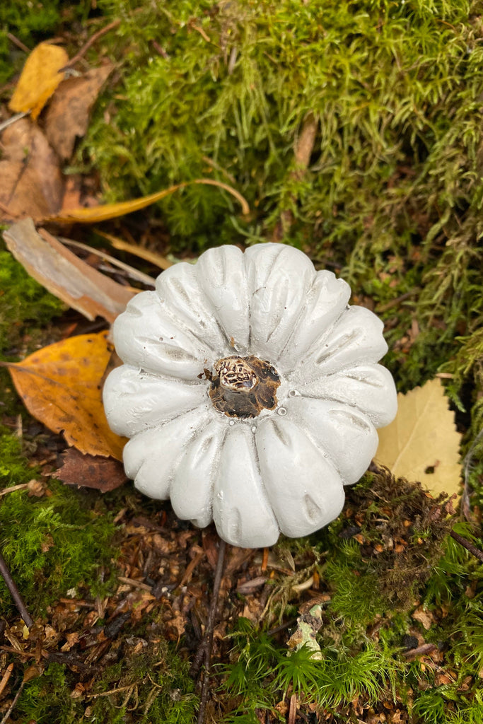 Pumpa på stick rund