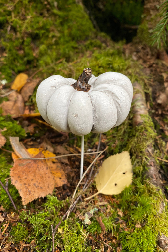 Pumpa på stick stående