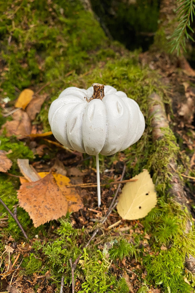 Pumpa på stick stående rund