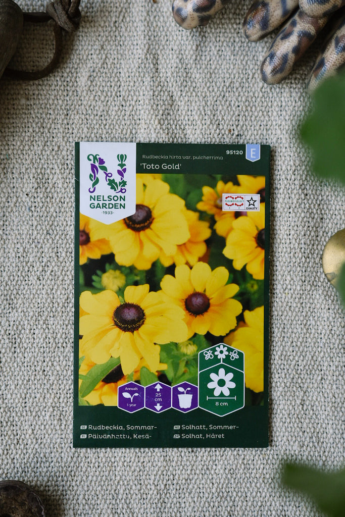 Sommarrudbeckia Toto Gold