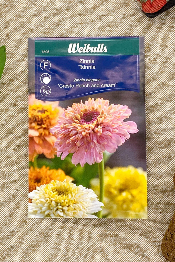 Zinnia Cresto Peach and Cream