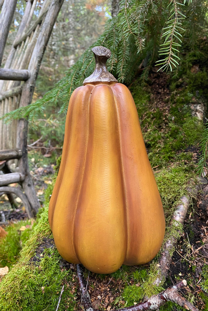 orange avlång pumpa