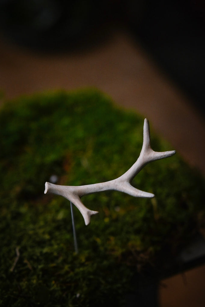 renhornpastick