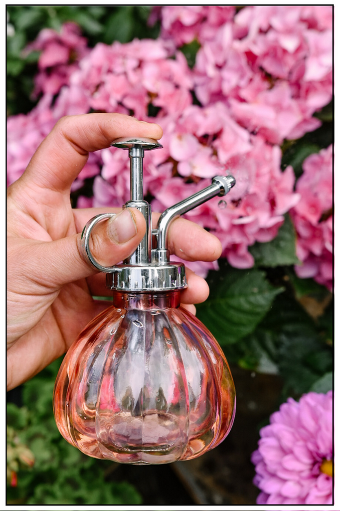 sprayflaska glas
